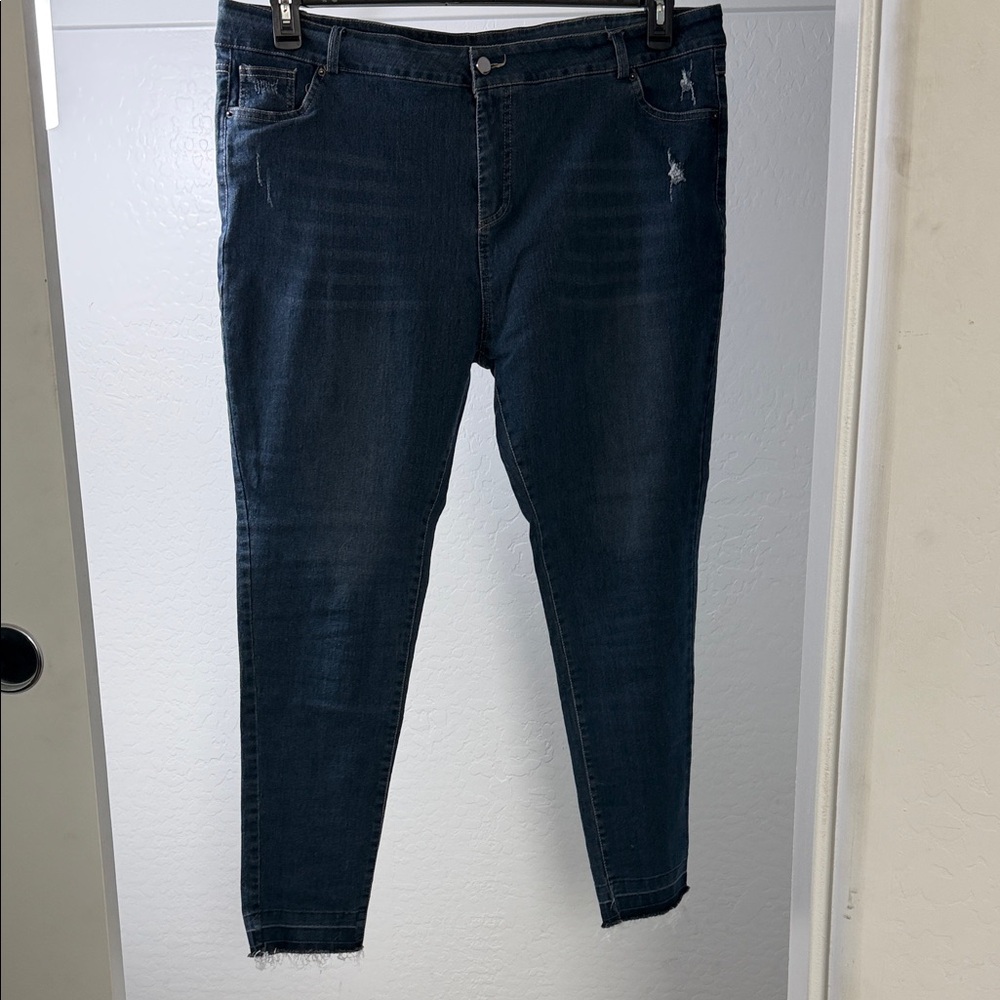 Classic Indigo Women's Jeggings Size 2X